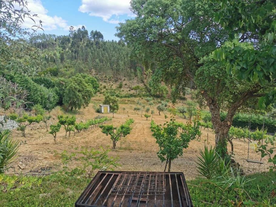 Cantinho Da Alice Family Villa Serta Bagian luar foto