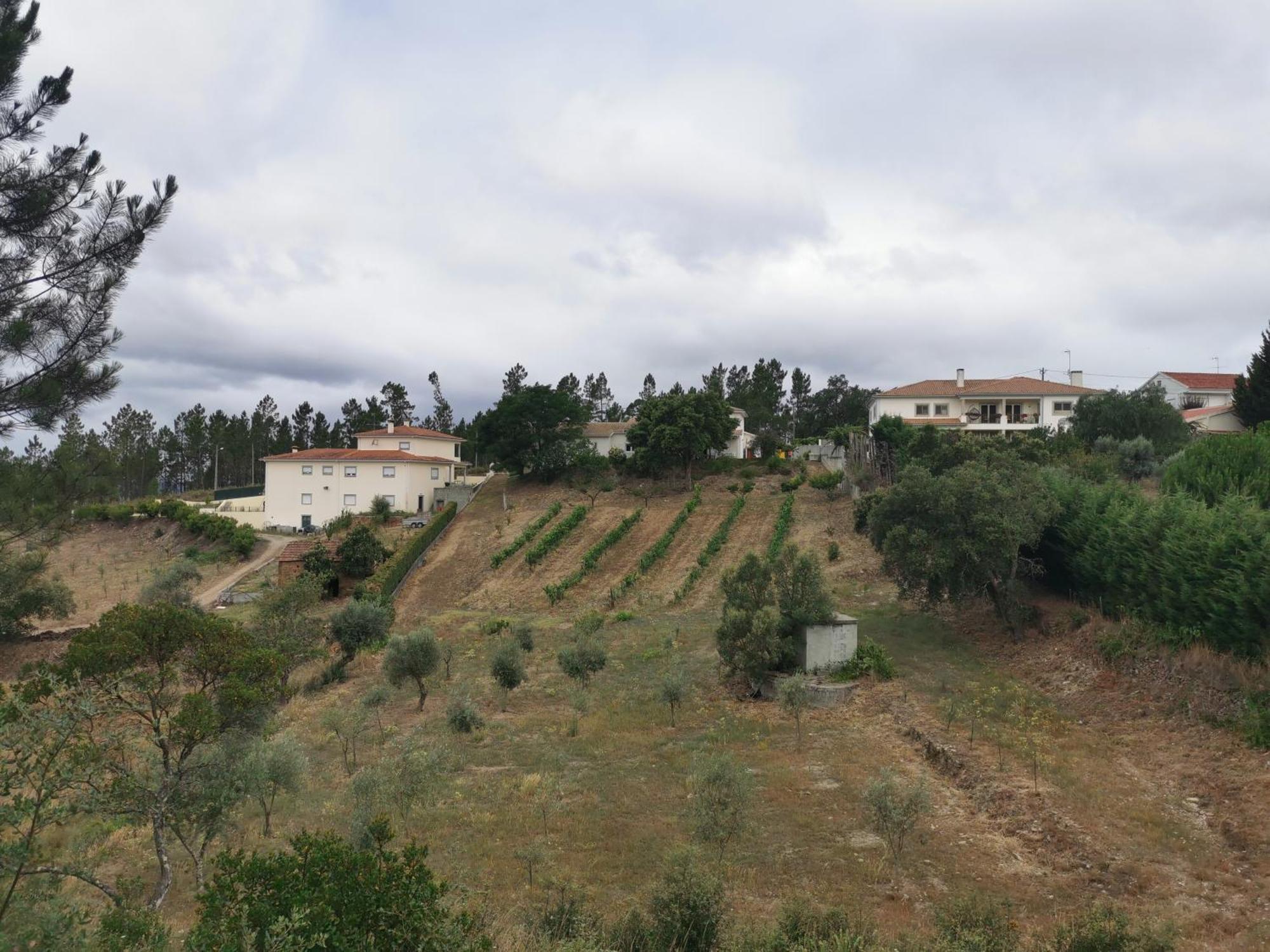 Cantinho Da Alice Family Villa Serta Bagian luar foto